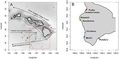 How Life History Characteristics and Environmental Forcing Shape Settlement Success of Coral Reef Fishes